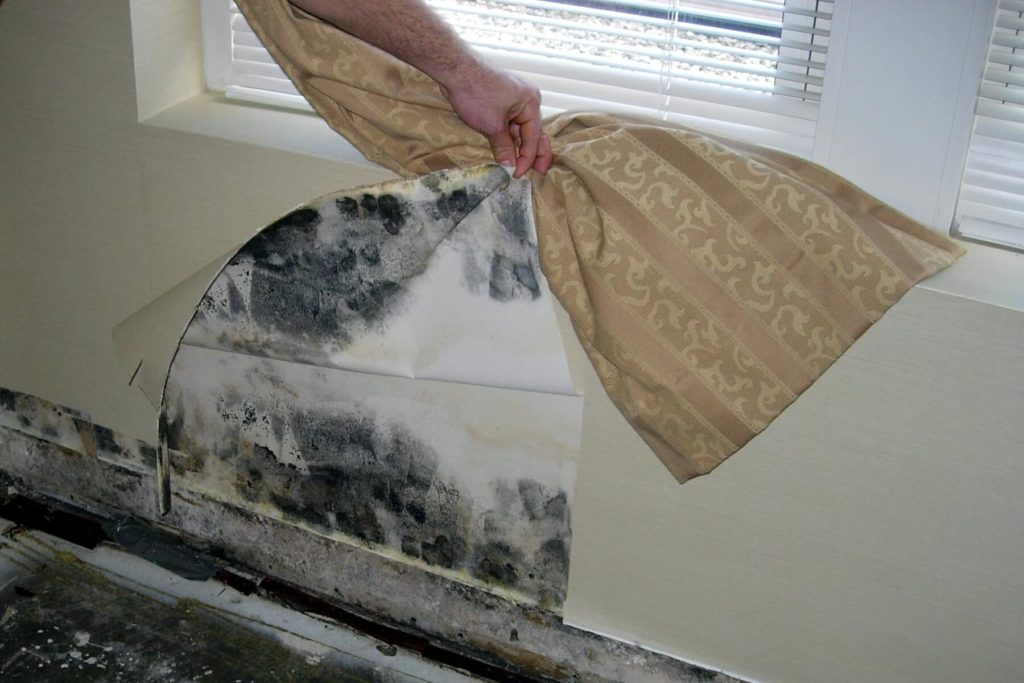 Hidden Water Damage Home Inspection